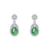 S925 Sterling Silver Dangle Earrings