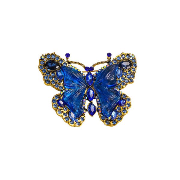 Butterfly brooch pin