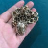 3dbc747d-ff6e-4393-838b-2a52fa0dfce7.jpg Crystal Glass French Flower Jacket Pin