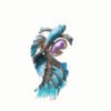 715aa62b-5c66-4075-8fdc-6ecd9b01fbda.jpg Personalized Year-on-year Fish Fashion Brooch