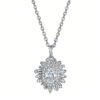 84966cad-0c76-4776-bc71-4dcaa00c81e4.jpeg S925 Sterling Silver Necklace