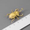 S925 Sterling Silver Beetle Brooch