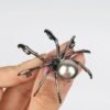 Spider Pearl Large Brooch