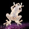 Fashion Diamond FROG PRINCE Brooch