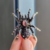 Retro Opal Spider Brooch