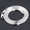 Sterling Silver Plated platinum necklace